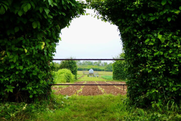 Visite le jardin de « Terre d'Isis »