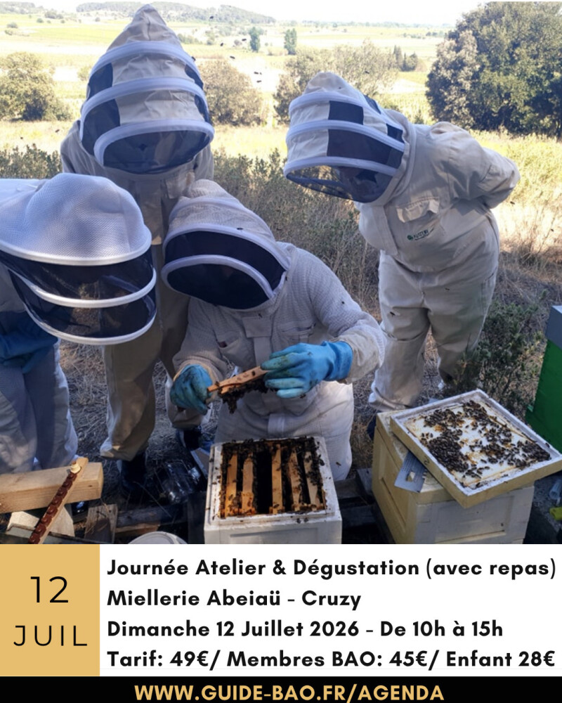 Stage Immersion au pays des abeilles à Cruzy