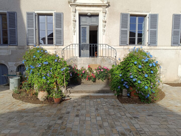 Visite du jardin de l'ancien tribunal de Tonnerre