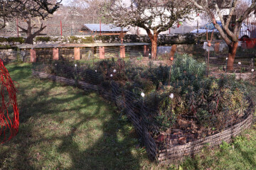 Visite découverte des Jardins familiaux du Moulin de la Porte