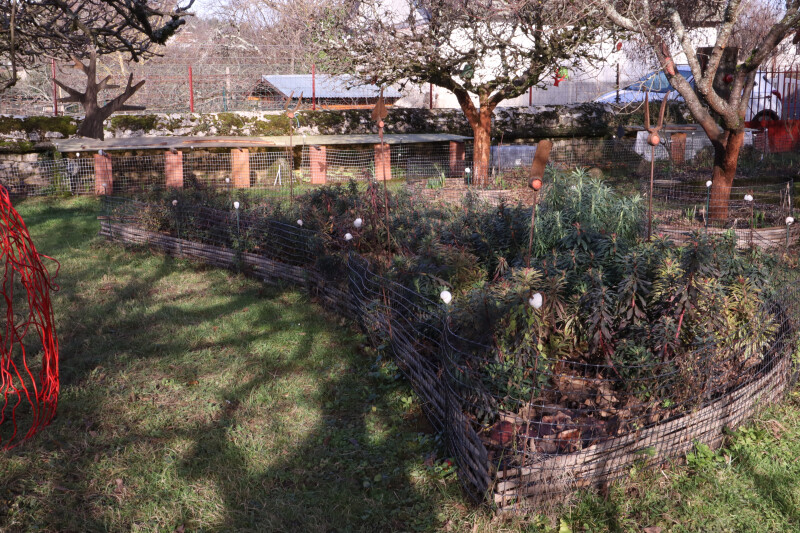 Visite découverte des Jardins familiaux du Moulin de la Porte