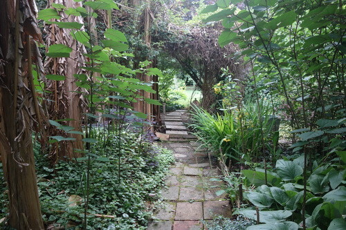 Visite d'un jardin naturel et son potager en Tarn et Garonne.