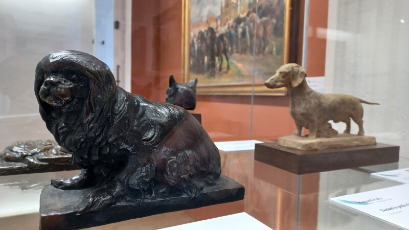 Parcours : domestique ou sauvage, shats et chiens, histoire de leur domestication