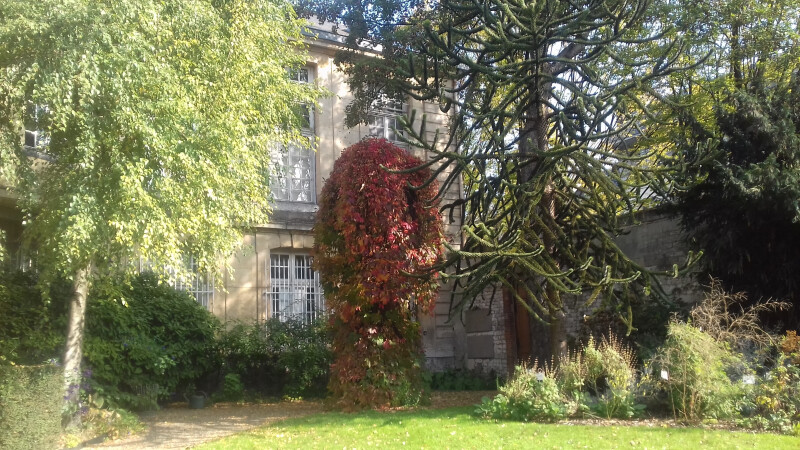 Lecture : découverte littéraire et sensorielle du jardin du musée Flaubert