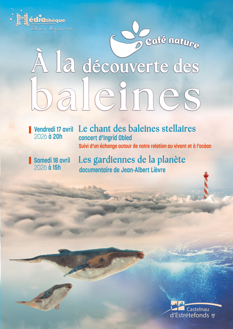 Café nature, à la découverte des baleines