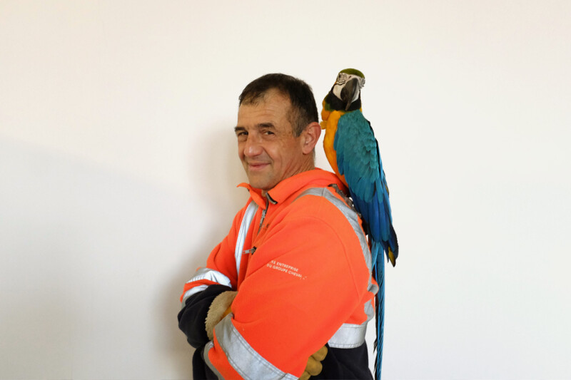 Visites avec l’artiste Emmanuel Louisgrand