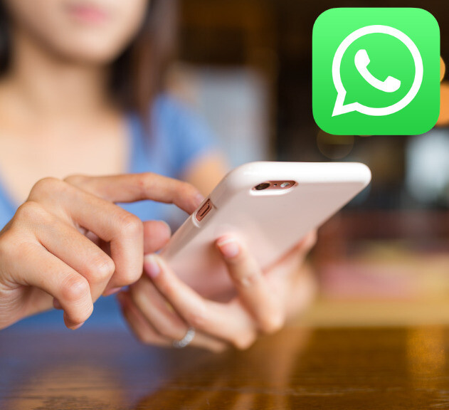 Atelier numérique : Whatsapp
