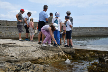 Pêche et plancton sur le port de Concarneau