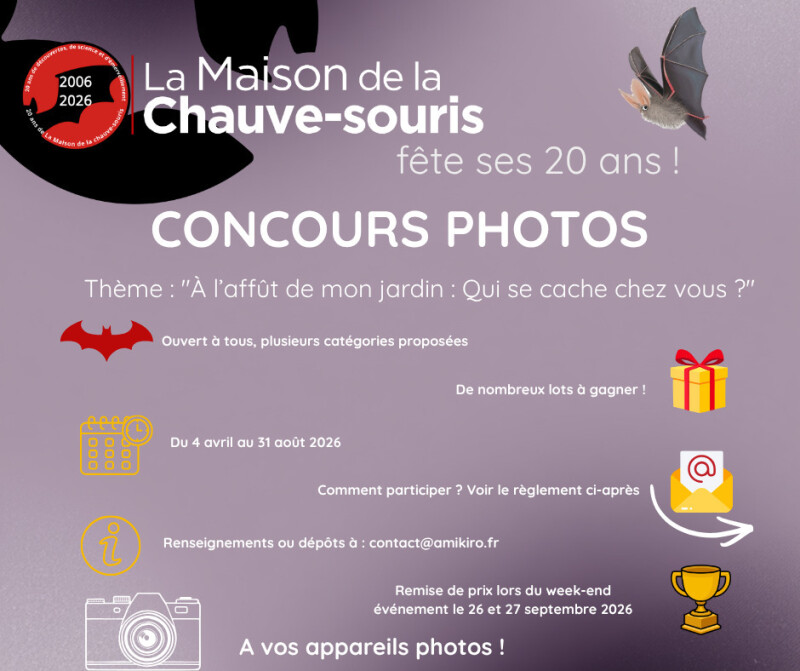 Concours Photos - 20 ans de la Maison de la Chauve-souris
