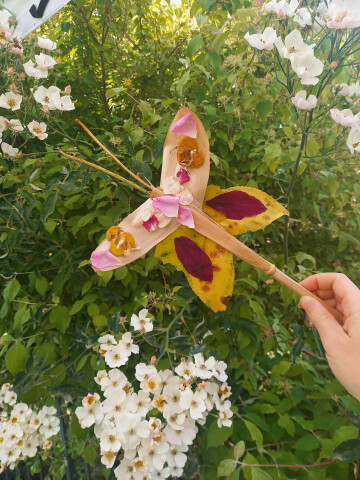 Insectes à la loupe