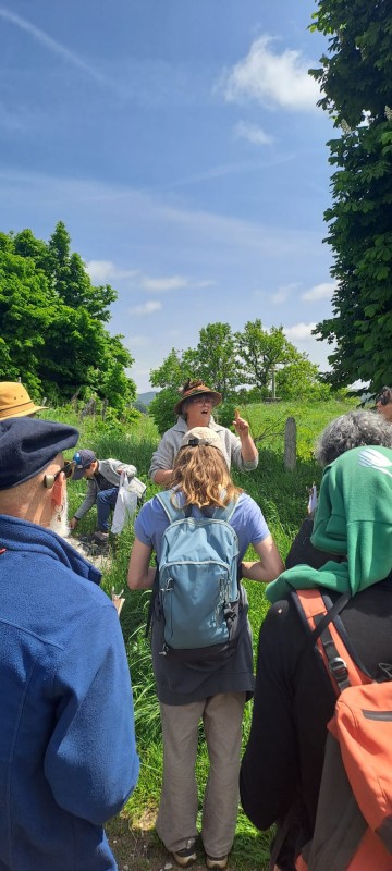 Cueillette et cuisine sauvage