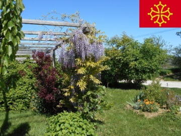 Sortie botanique au verger - français, latin, occitan