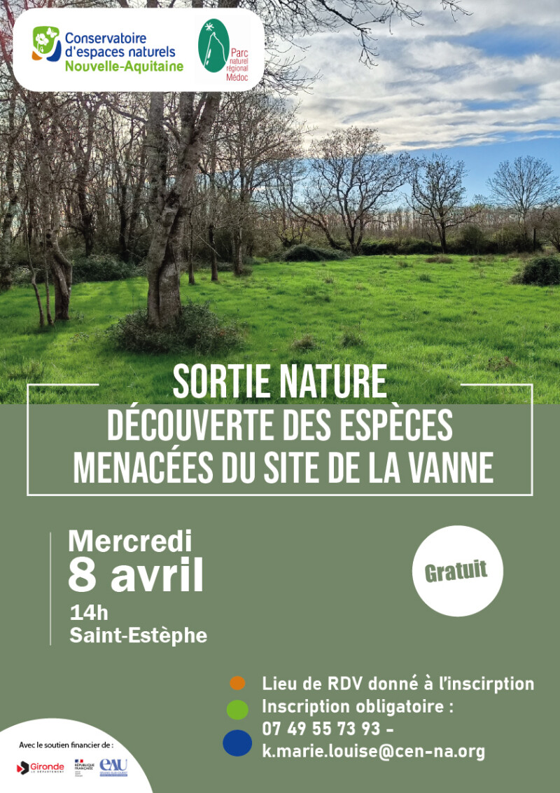 Les zones humides au fil des saisons : A la découverte des fleurs de la Vanne