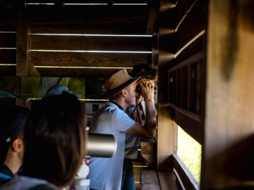 Visite guidée ornithologique "Oiseaux d'ici et d'ailleurs"