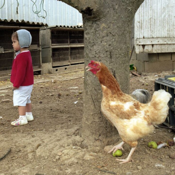 Rencontre-projection par le photographe Philippe Bazin à Bibracte