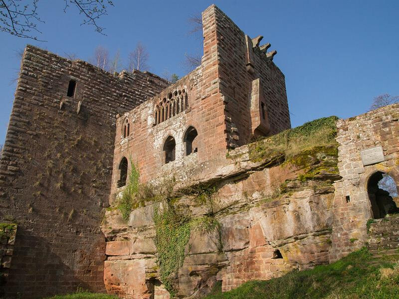 Tous aux châteaux : visites guidées du château de la Wasenbourg