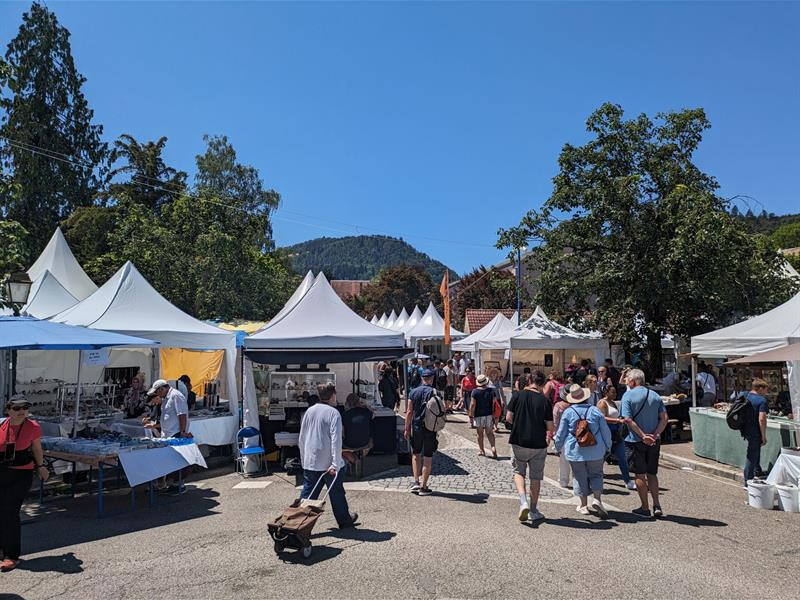 61ème édition : Mineral & Gem - Nuances de Fer