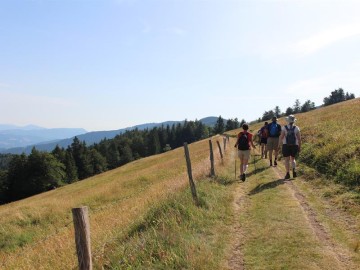 Sortie pédestre : les volcans du Rossberg