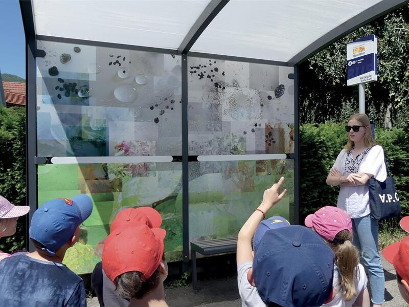 Activité : visite accompagnée de la FEW