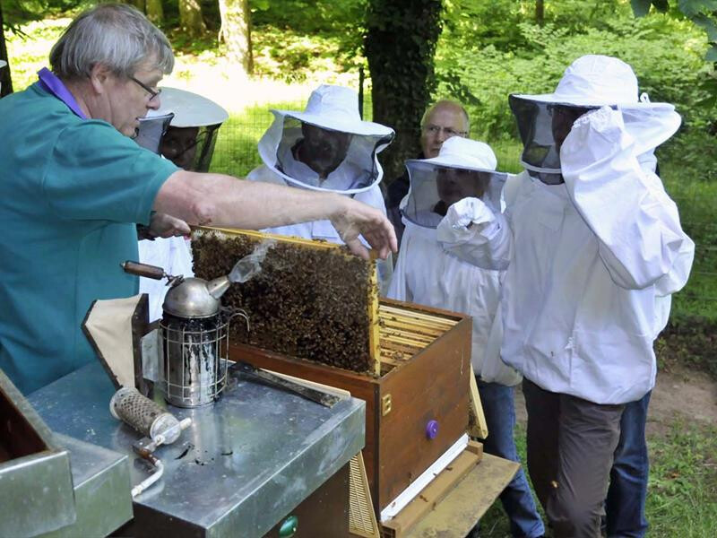 Portes ouvertes au rucher école des sources