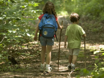 Activité : balade nature