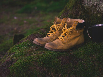 Sortie avec le Club Vosgien du Kochersberg : Autour de Grendelbruch