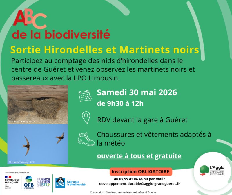 ABC de la biodiversité : sortie hirondelles et martinets noirs