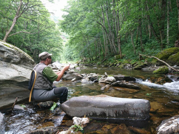INITIATION PÊCHE AU COUP EN RIVIÈRE