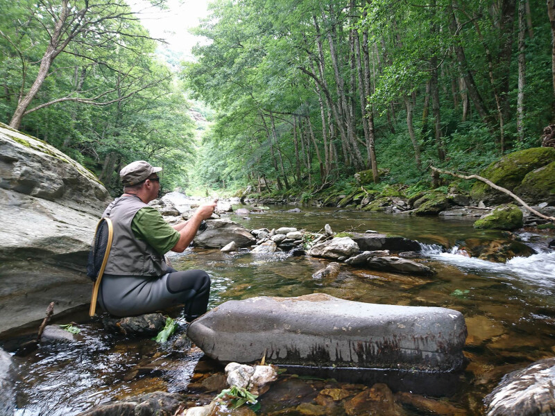 INITIATION PÊCHE AU COUP EN RIVIÈRE