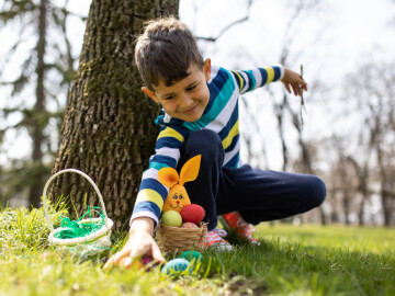 Chasse aux oeufs