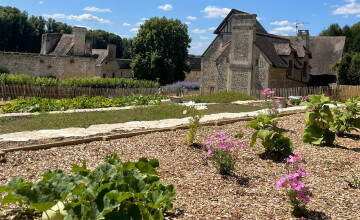 Visites du Potager conservatoire