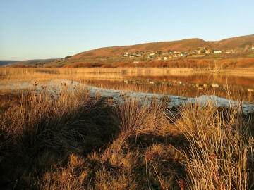 Vauville/50 : Visite guidée de la Réserve Naturelle Nationale de la Mare de Vauville
