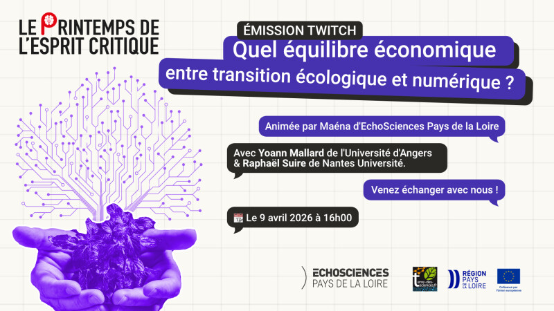 Quel équilibre économique entre transition écologique et transition numérique ?