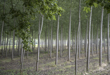 Imagine ta forme des lieux