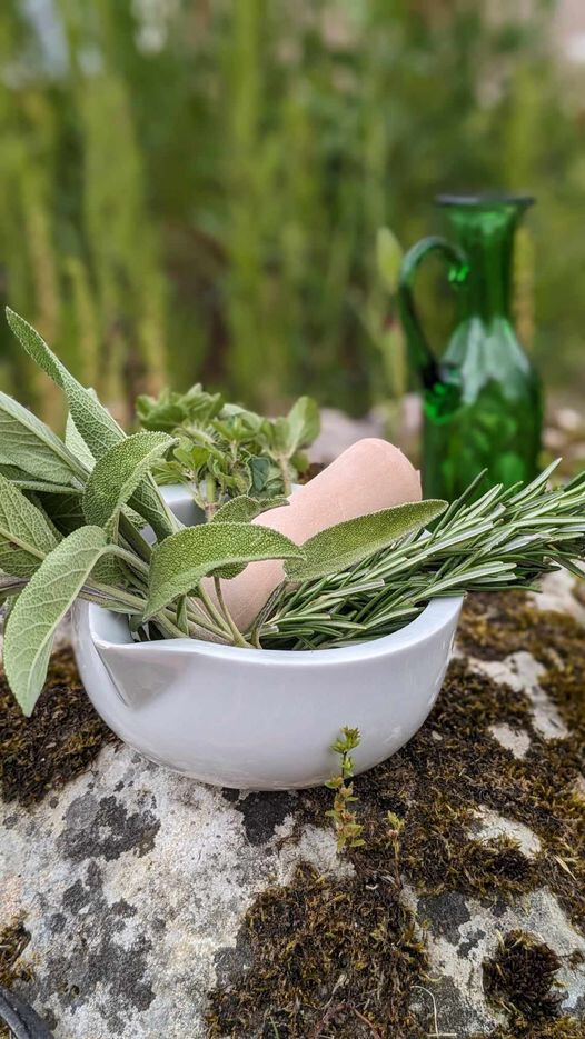 ATELIER DE CUISINE "LE SEL D'APICIUS"