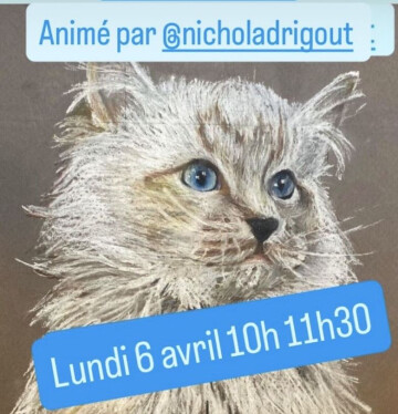 Cours de dessins  au Ô p'tits chats gaillards