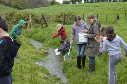 Atelier nature (3-5 ans) : autour de la mare