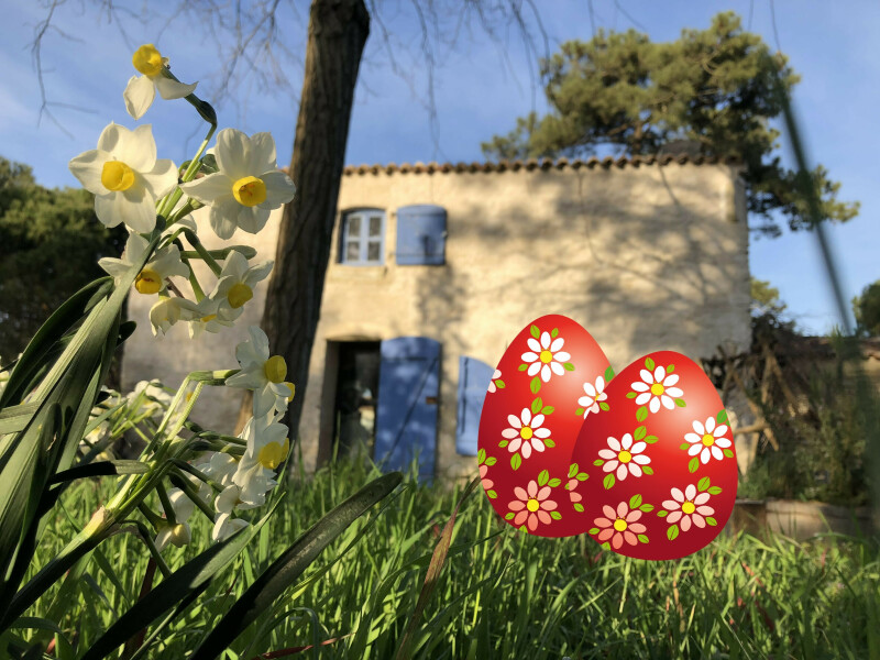 Chasse aux œufs - spécial architecture