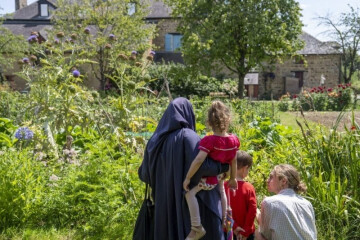 Aux racines du potager : Voyage historique et culturel sur l’origine de nos légumes