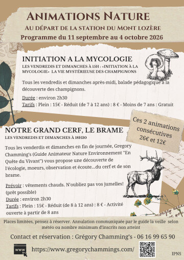 ANIMATION NATURE : BRAME DU CERF