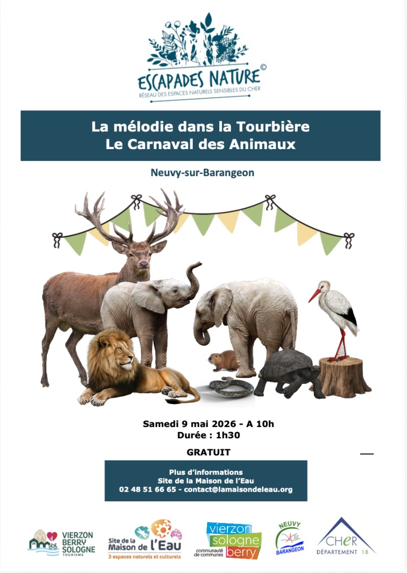 La mélodie dans la Tourbière