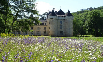 Chasse aux oeufs dans le parc du Château de Campagne