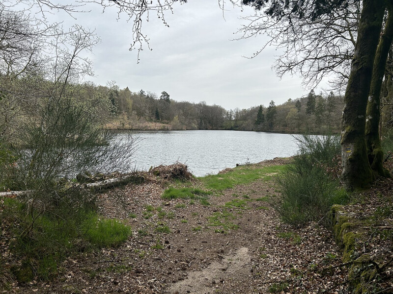 Fête de la nature : « Trop Sauvages »