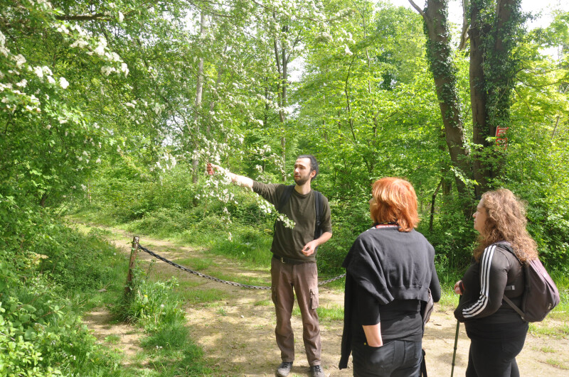 Journée champêtre en forêt d'Halatte