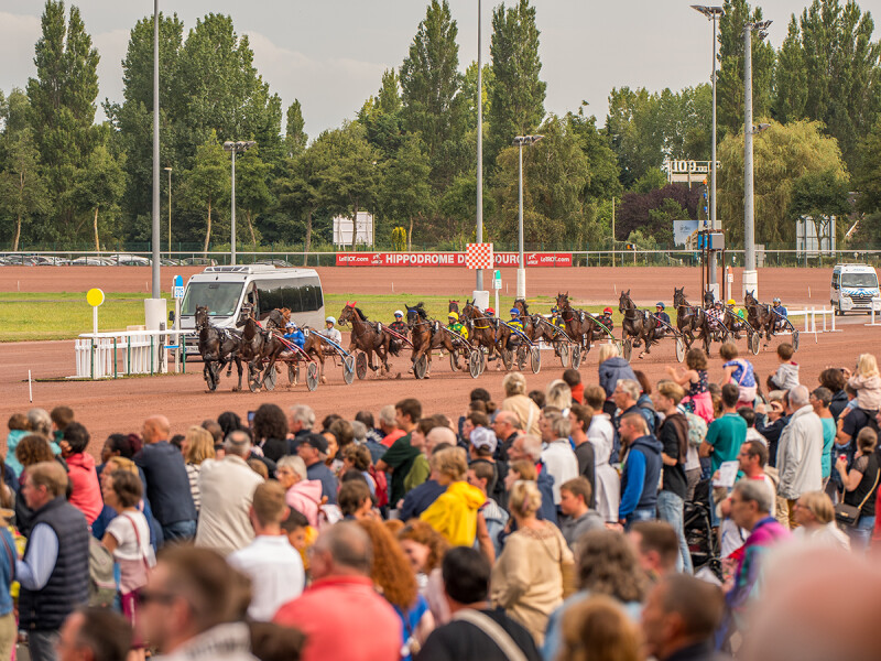 Les estivales de l'hippodrome