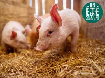 À la rencontre des producteurs - Au pré de mon arbre
