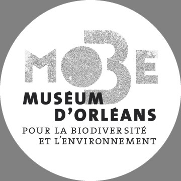 Le chocolat en débat