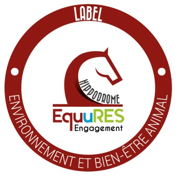 Courses hippiques - Tout galop
