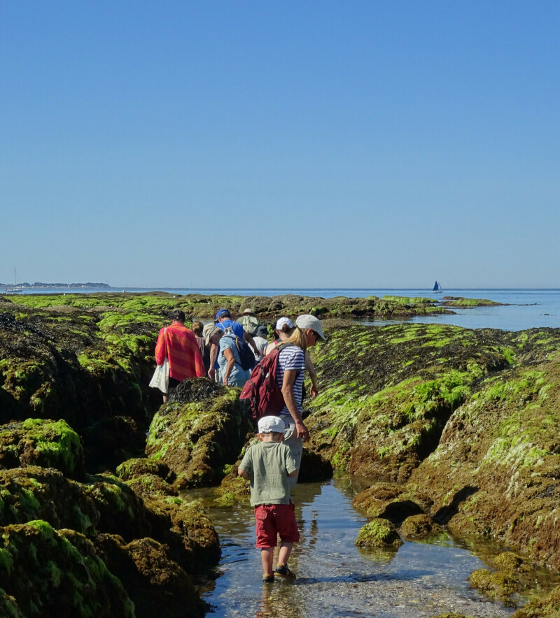 La vie à marée basse à La Turballe
