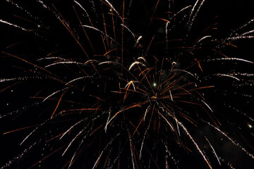 Course de caisse à savon